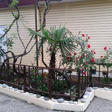 Orhidea Guest House Gagra Buitenkant foto
